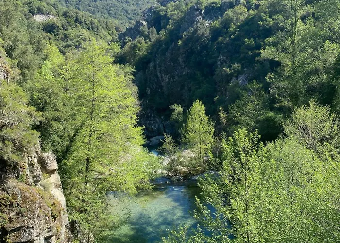 Vittoria